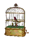 シンギング・バード・ケージ　Singing Bird cage